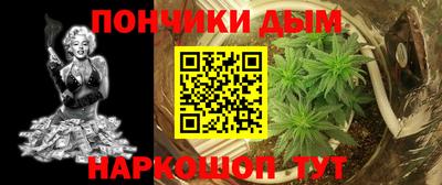 МДПВ Моздок