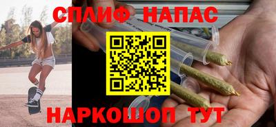 МДПВ Моздок