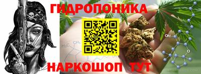 соль ск Можга